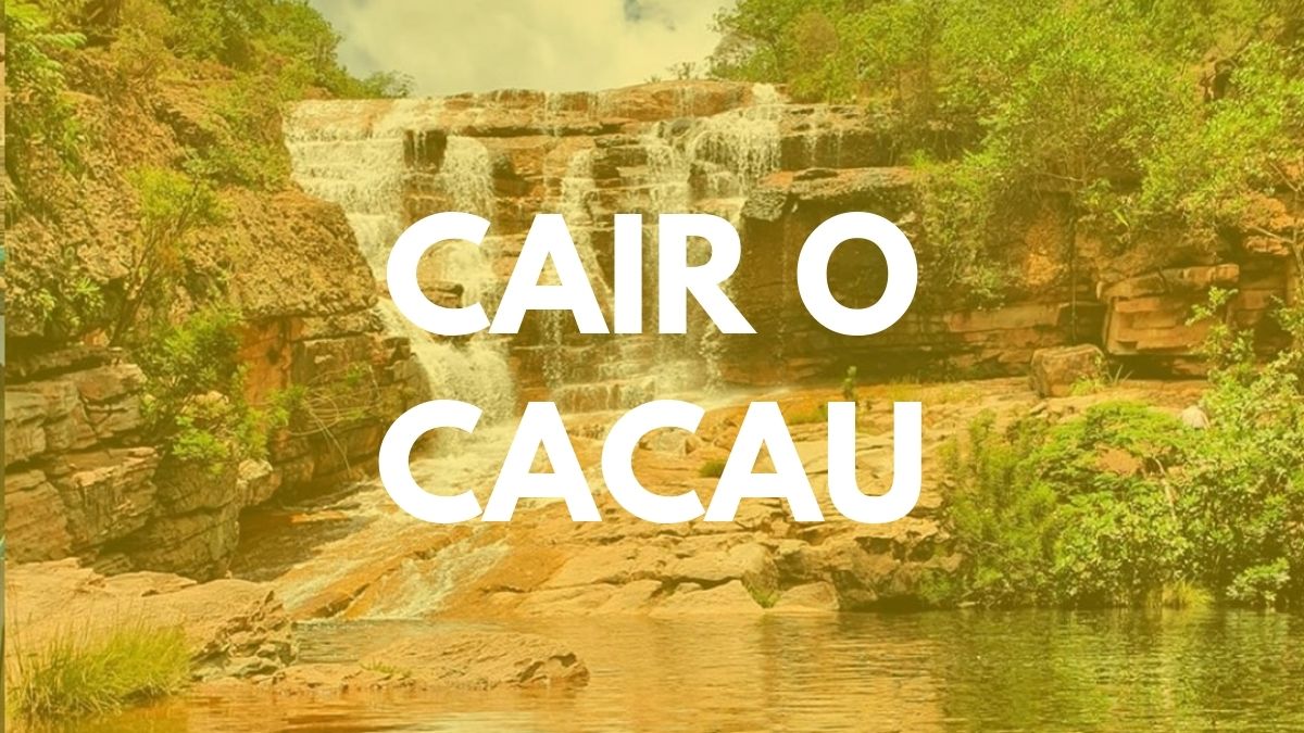 Gíria Baiana Cair O Cacau - Saiba O Significado | Sotaqueando